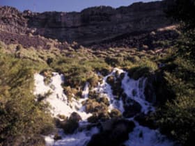 Thousand Springs State Park