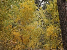 Turnbull National Wildlife Refuge