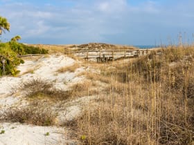 Tybee Island Beach and Pier
