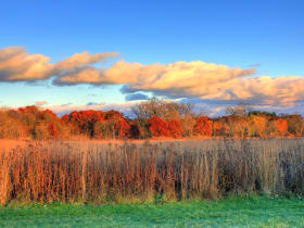 UW-Madison Arboretum