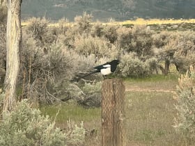 Washoe Lake State Park