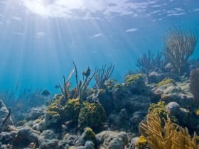 Biscayne National Park