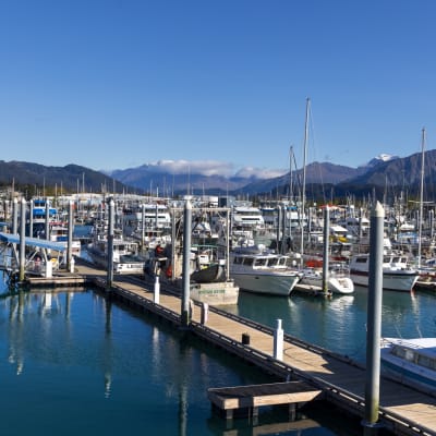 Seward small boat harbor and the Kenai Mountains, Seward, Alaska