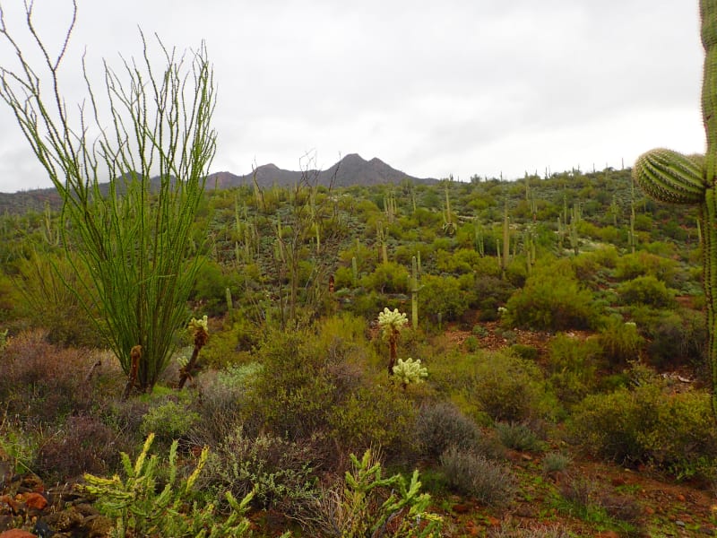 Spur Cross Ranch Conservation Area
