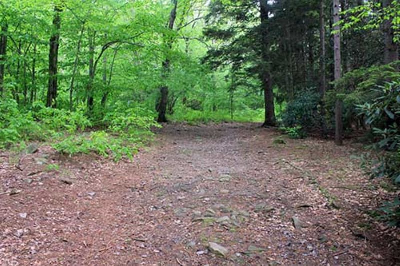 Hiking trail through Promised Land State Park in the Pocono Mountains, Pennsylvania