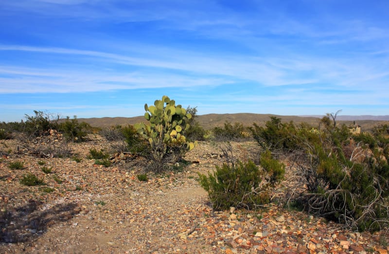 Big Bend National Park, TX