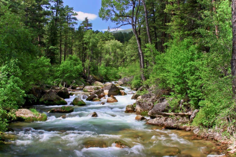 Bighorn National Forest, WY