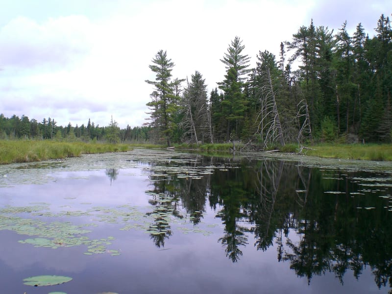 Boundary Waters Canoe Area Wilderness, MN