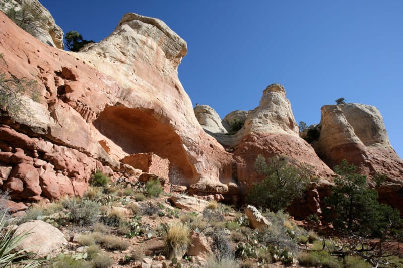 Canyons of the Ancients National Monument, CO