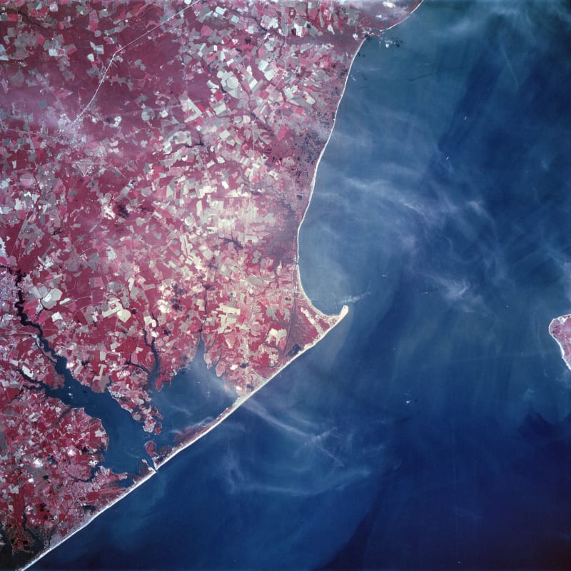 Cape Henlopen State Park, DE