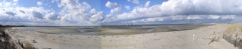 Cape Henlopen State Park, DE