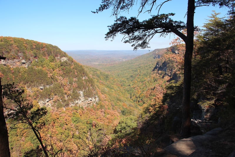 Cloudland Canyon State Park, GA