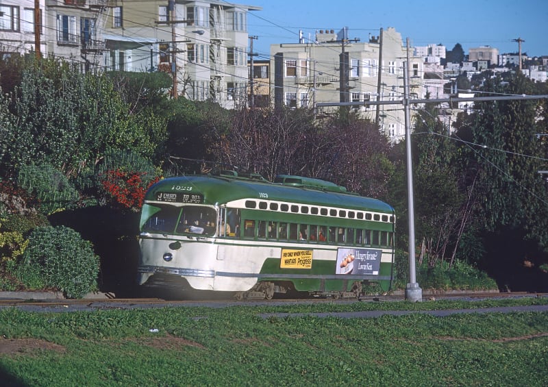 Dolores Park, CA