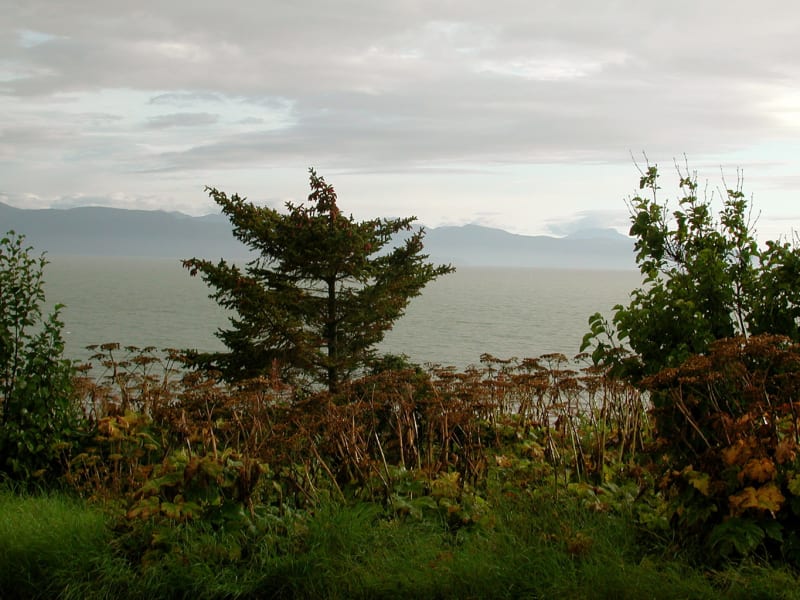 Kachemak Bay State Park, AK