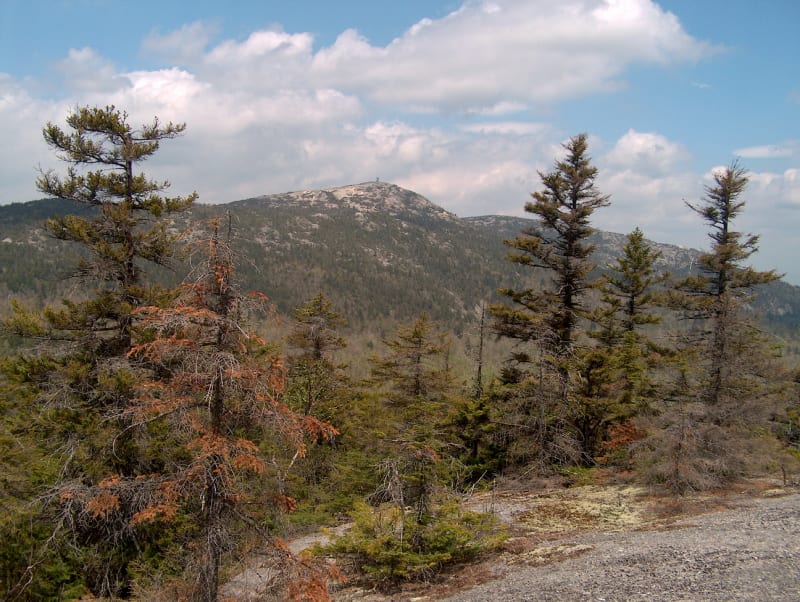 Mount Cardigan, NH