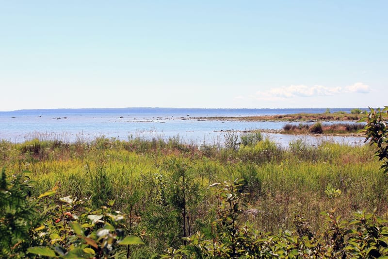 Newport State Park, WI