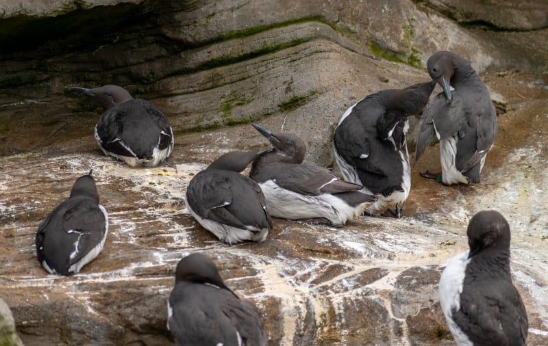 Oregon Coast Aquarium, OR