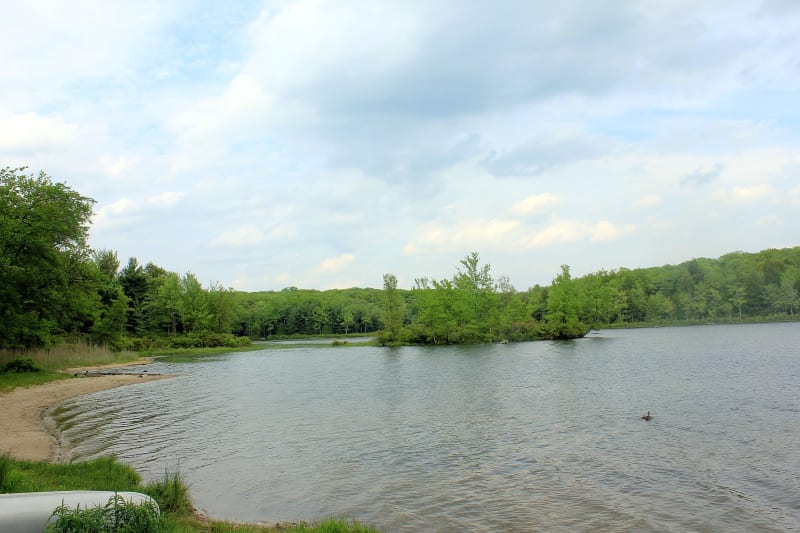 Promised Land State Park, PA