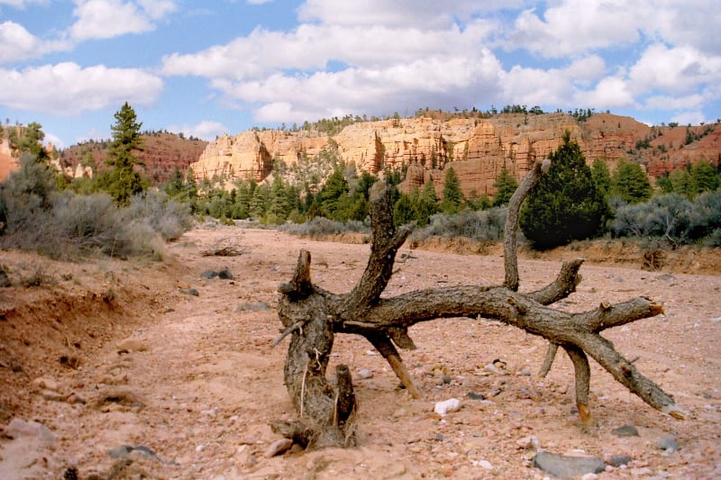 Red Canyon, UT