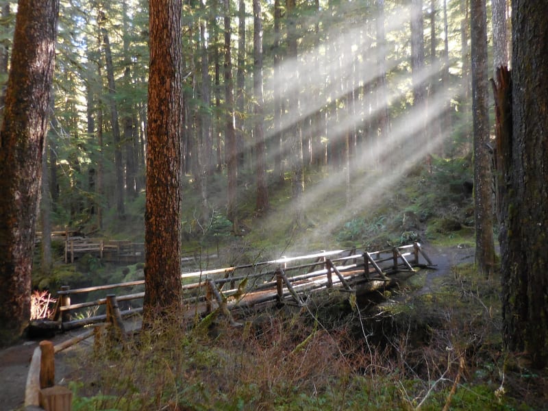 Sol Duc Falls, WA