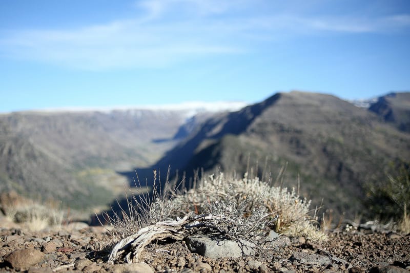 Steens Mountain, OR