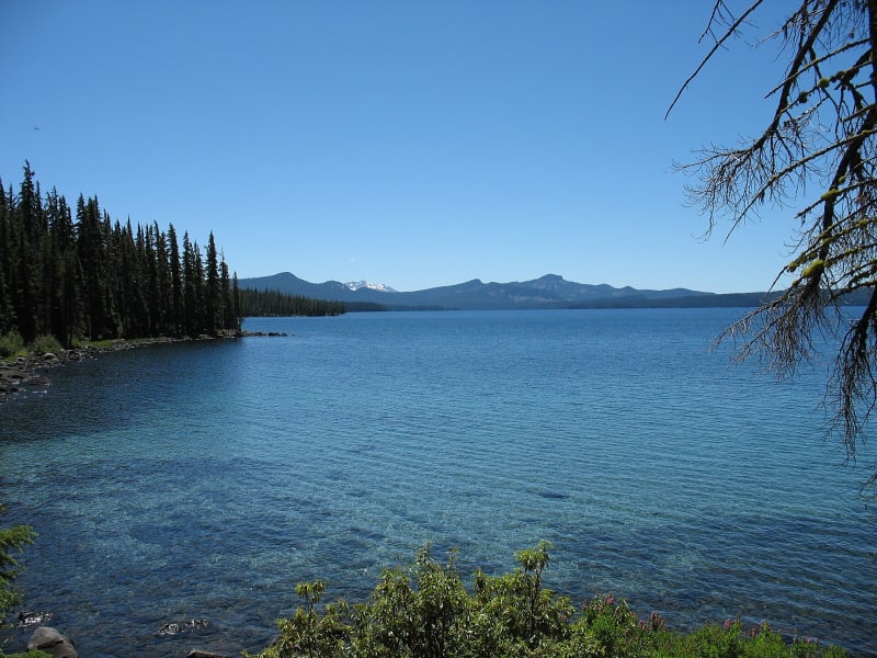 Waldo Lake Wilderness, OR