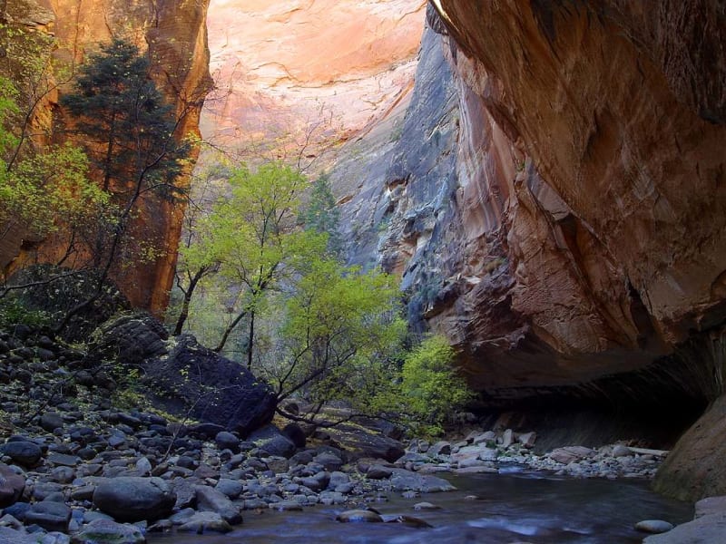 Zion National Park, UT