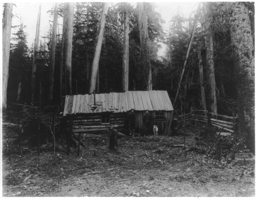 A log cabin tucked into an evergreen forest in the Puget Sound region of Washington