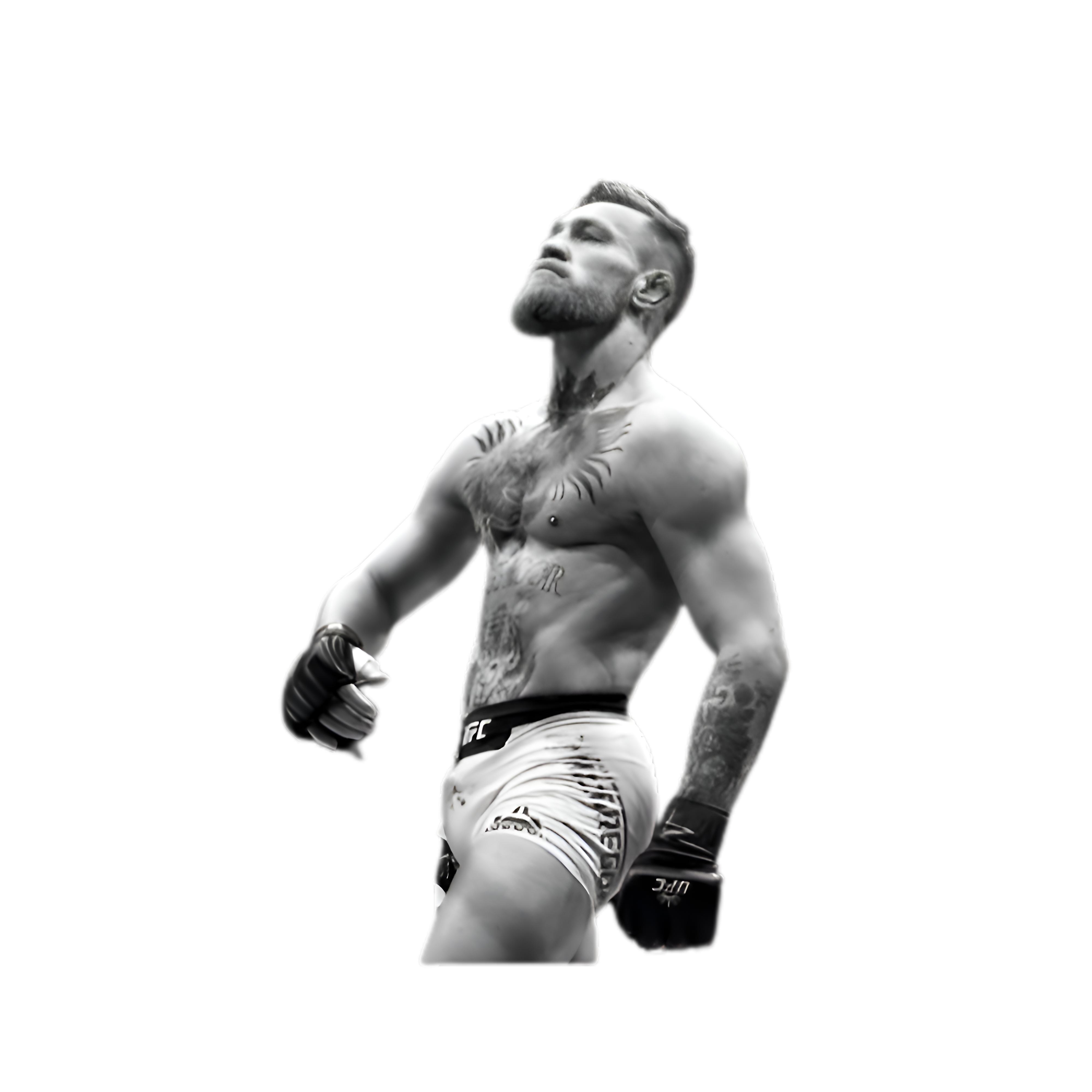MMA