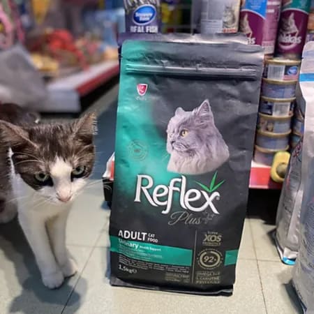 thuc-an-hat-cao-cap-cho-meo-reflex-plus-tho-nhi-ky-2