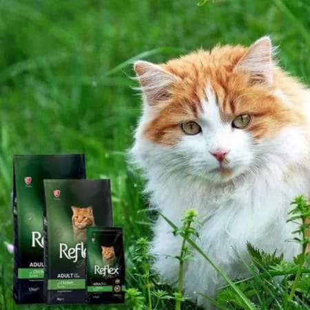 thuc-an-hat-cao-cap-cho-meo-reflex-plus-tho-nhi-ky-3
