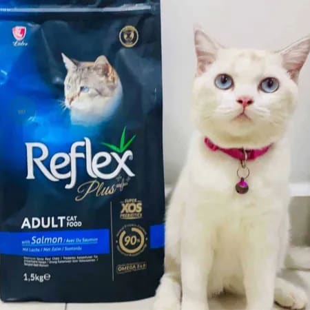 thuc-an-hat-cao-cap-cho-meo-reflex-plus-tho-nhi-ky-6