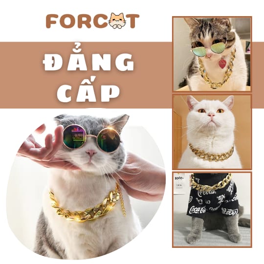 Vòng Cổ Mạ Vàng Cho Mèo