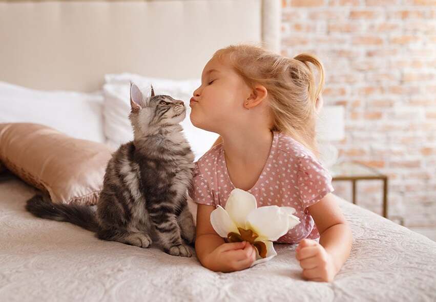 Bé chơi với mèo cưng