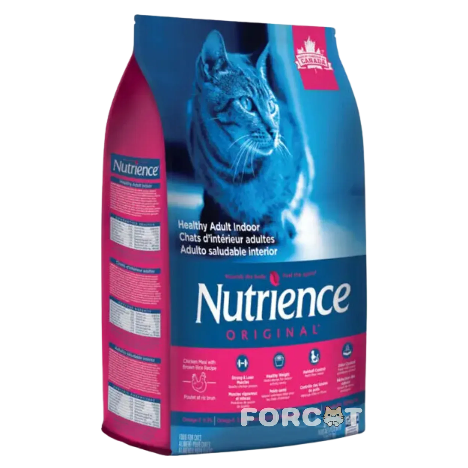 Thức ăn của mèo: Hạt Nutrience Original