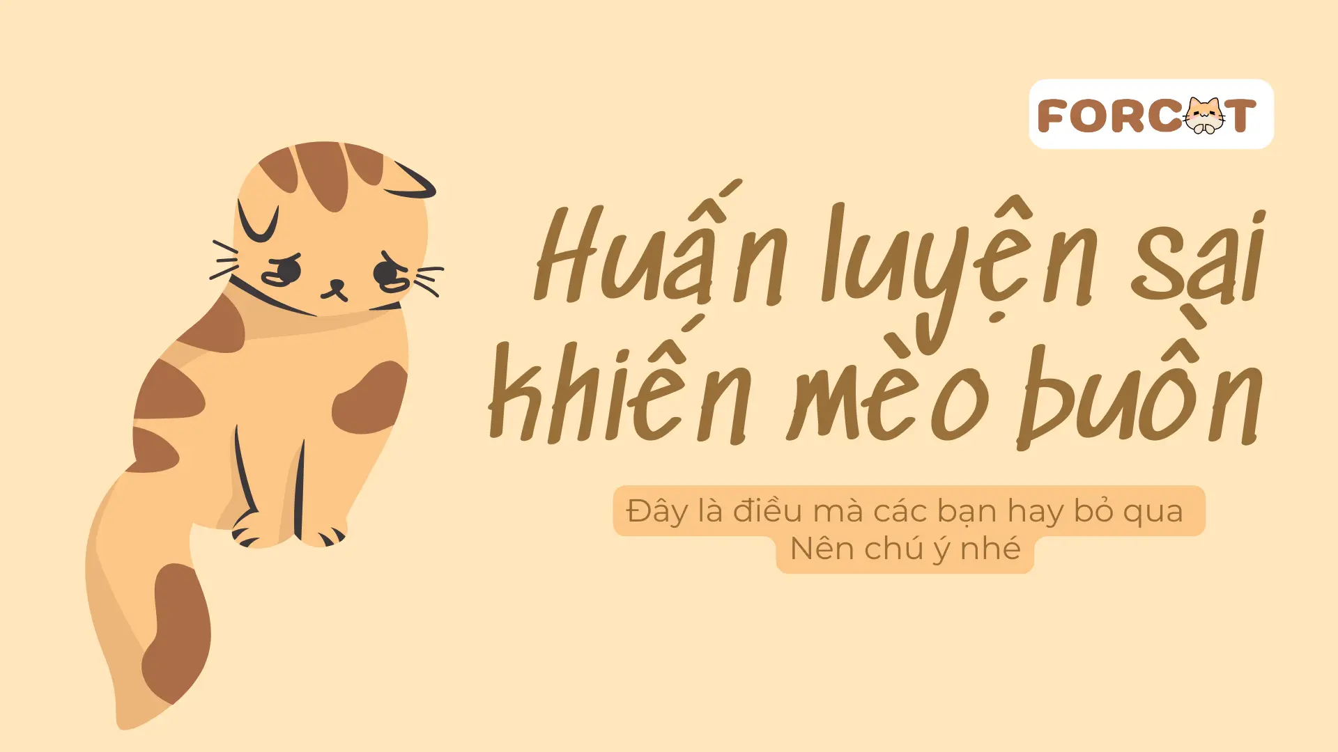 Hình ảnh bạn có đang huấn luyện mèo sai cách