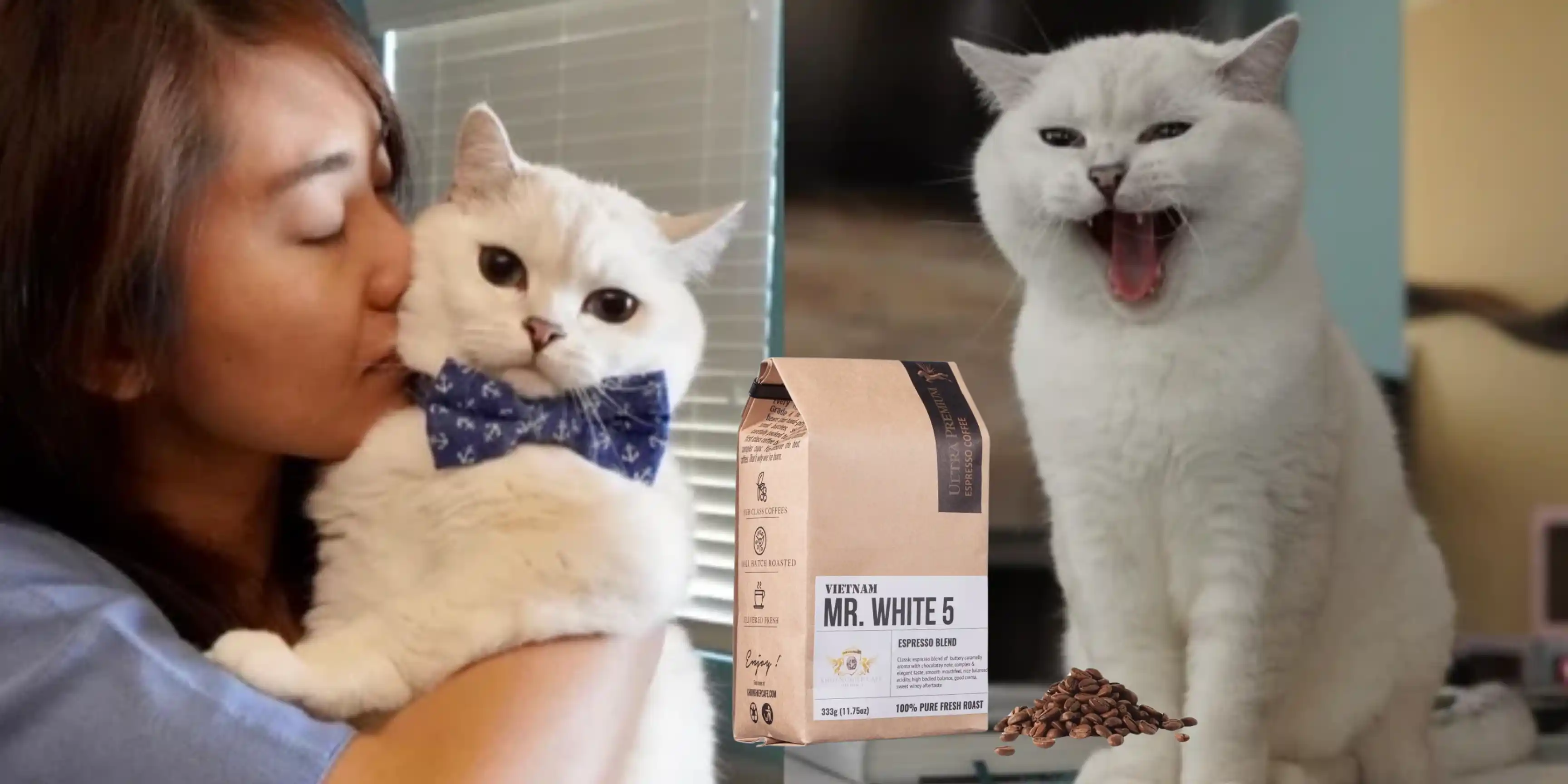 Coffee (Mr. White) - Cô nàng mèo bán cà phê