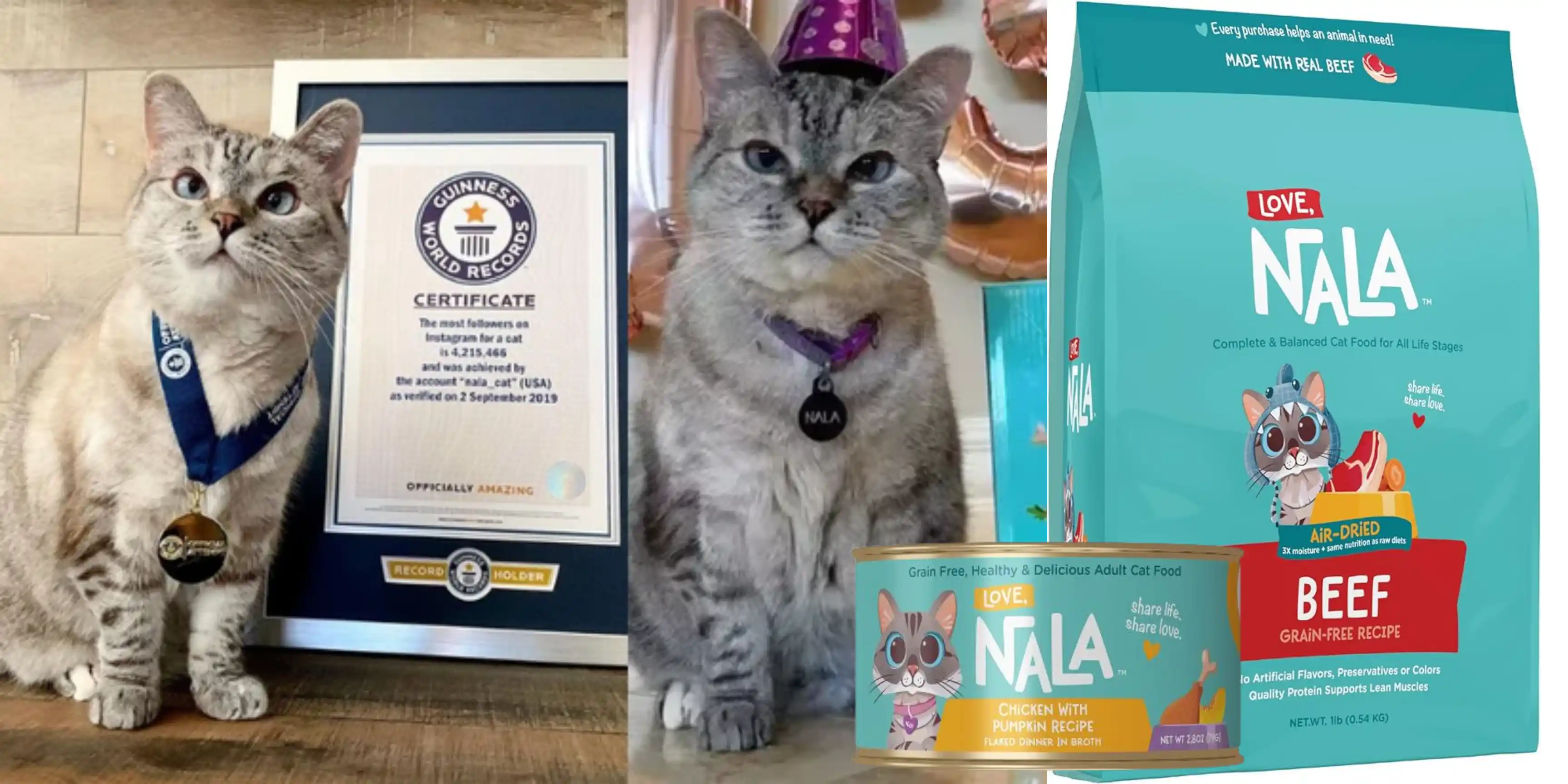 Nala Cat Nữ hoàng Instagram