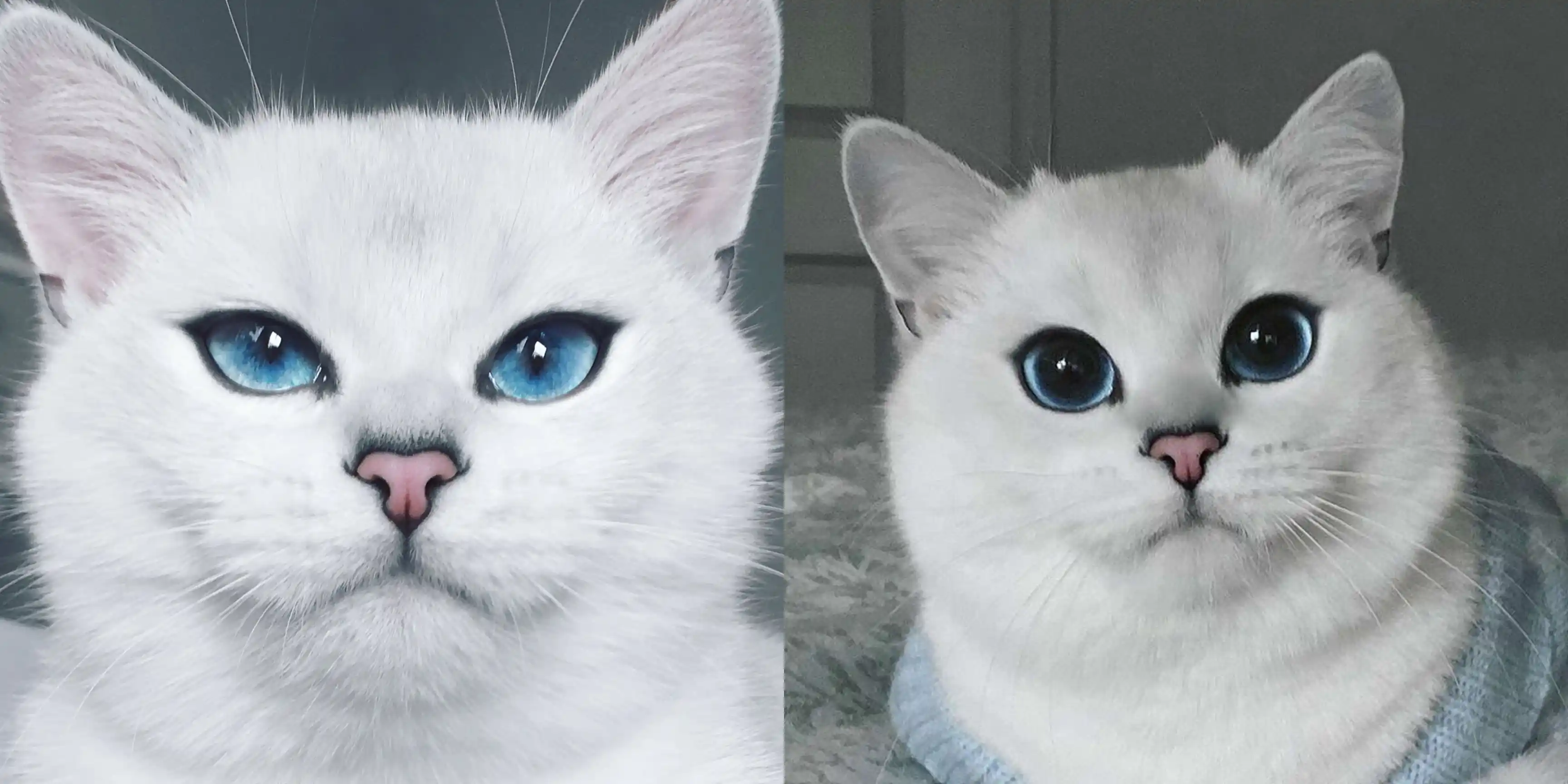 Coby Cat - Cô nàng mèo kẻ eyeliner sắc lẹm