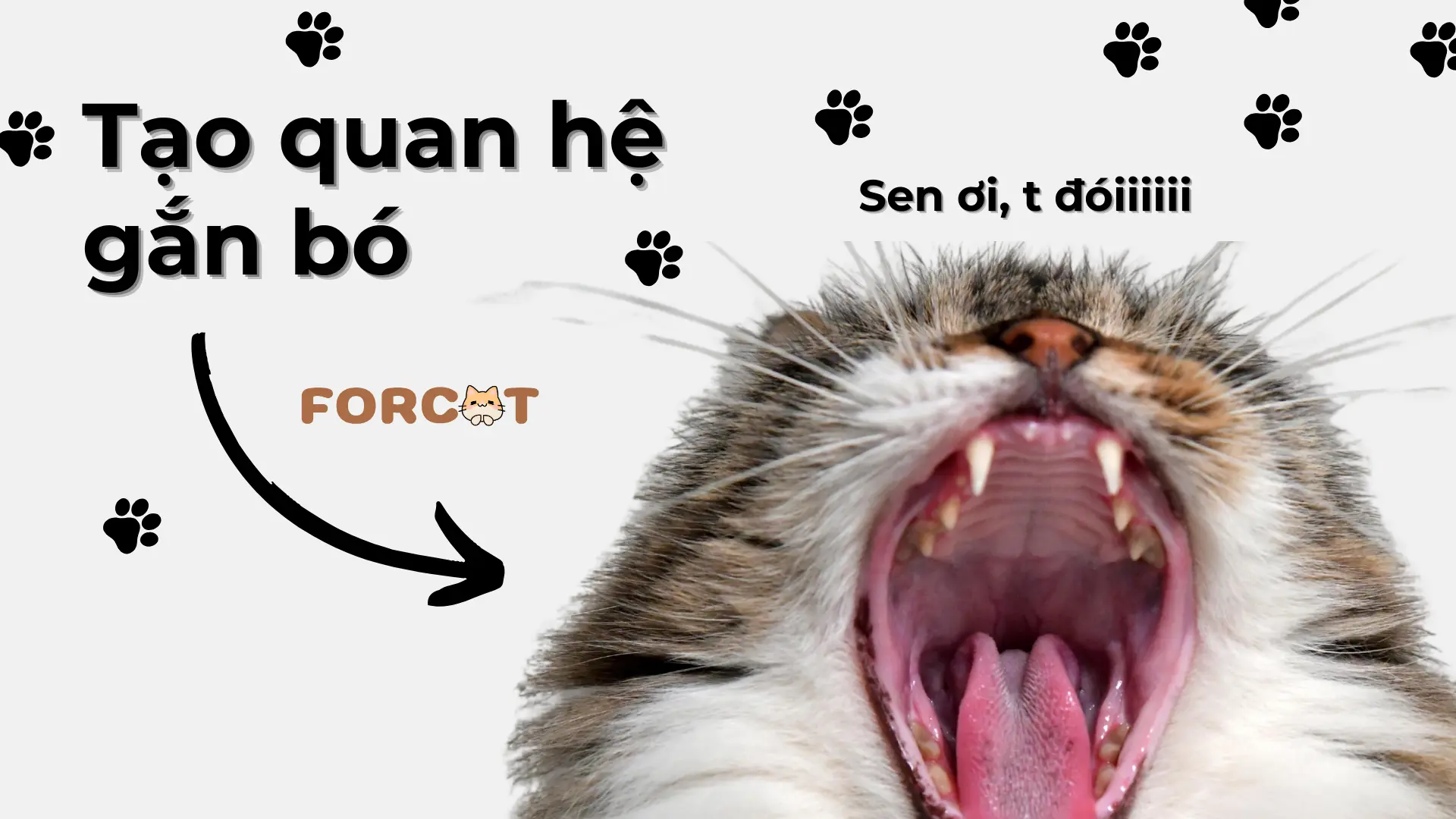 Mối quan hệ gắn bó và đầy tình cảm