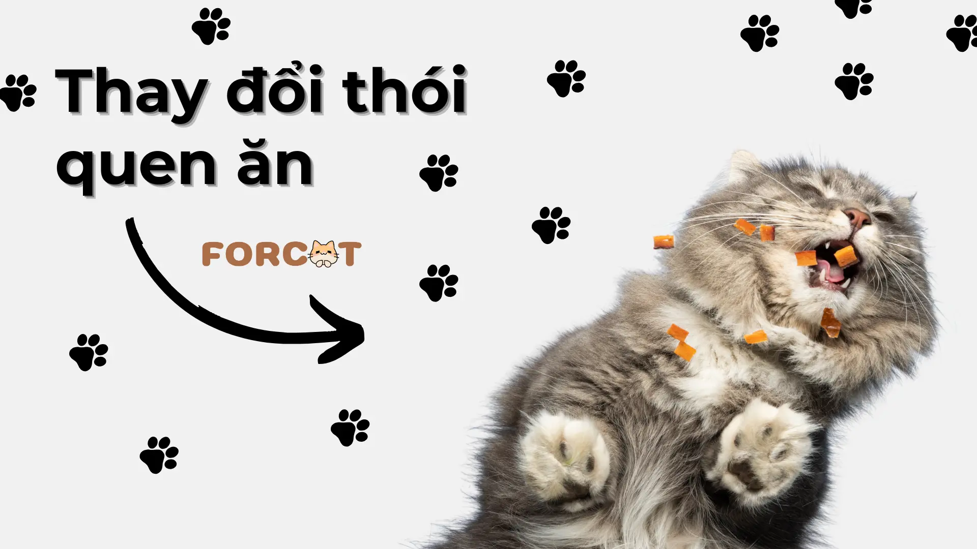 Thay đổi thói quen ăn uống