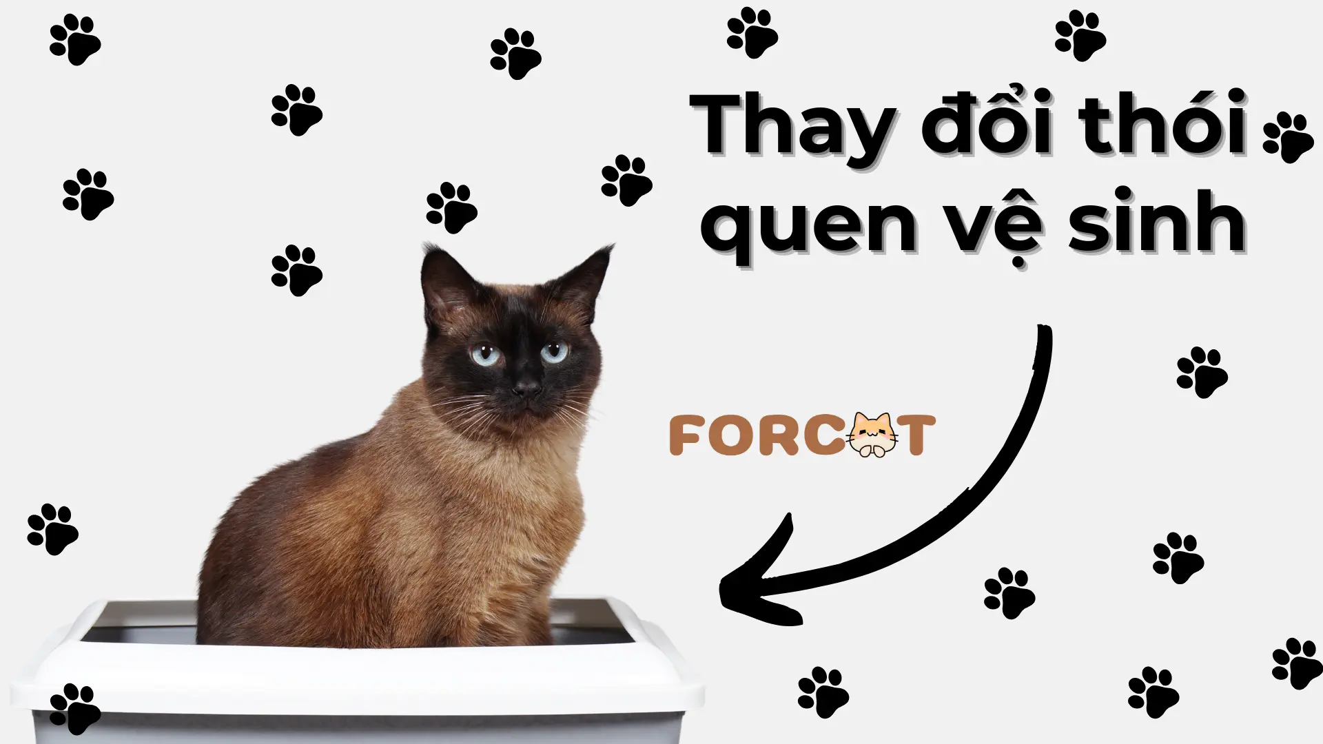 Thay đổi thói quen vệ sinh
