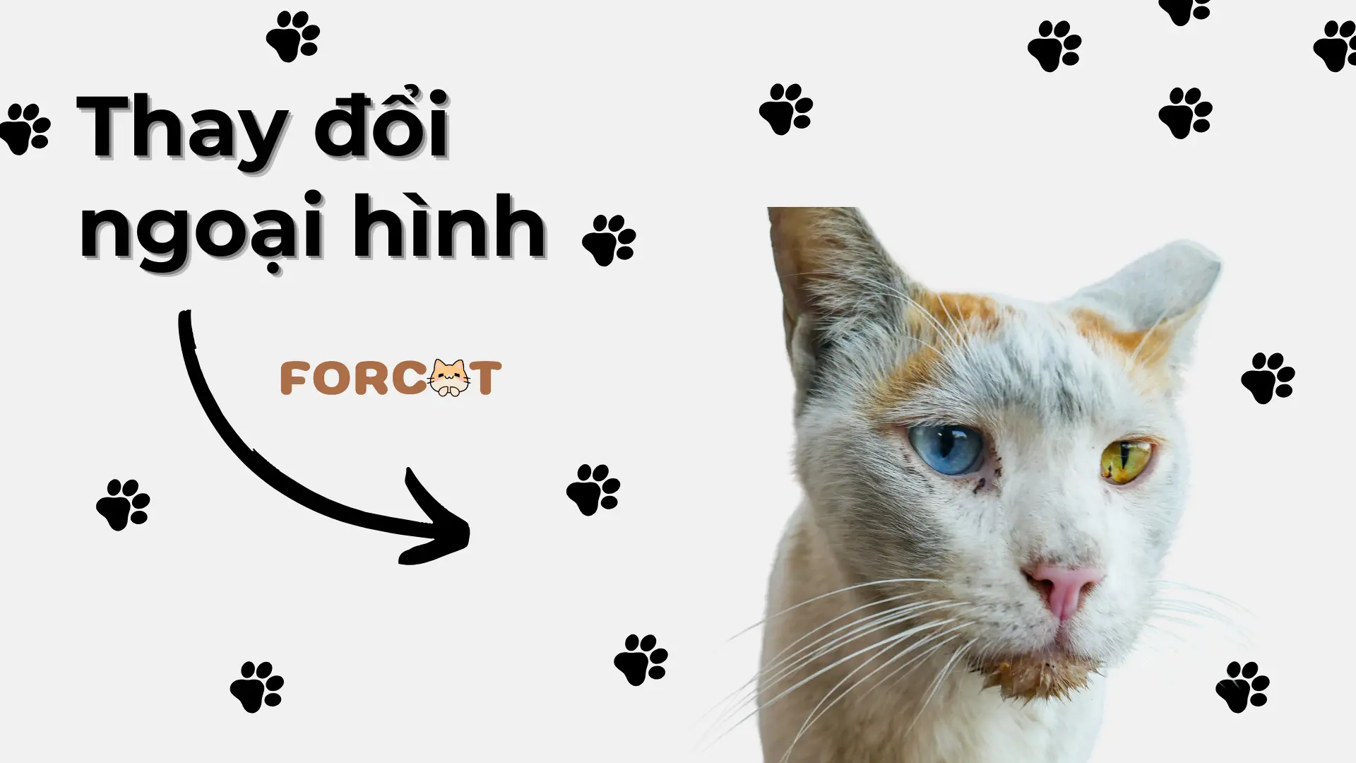 Thay đổi ngoại hình
