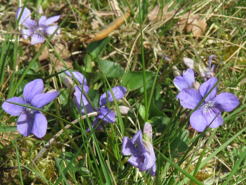 Egfuuljtbgauieidxvwb