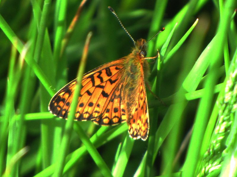 Hclejqlyeabxqimtav6r