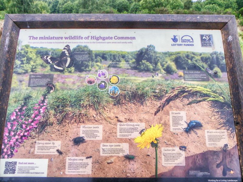 Hgfpgvx8si8gpb4dy8py