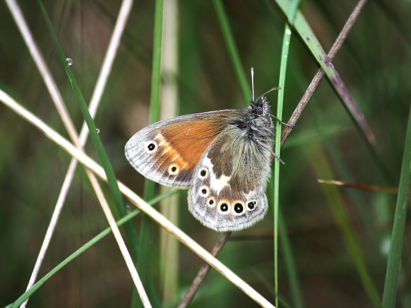 J6msxwywe6hf3zm6yjdv