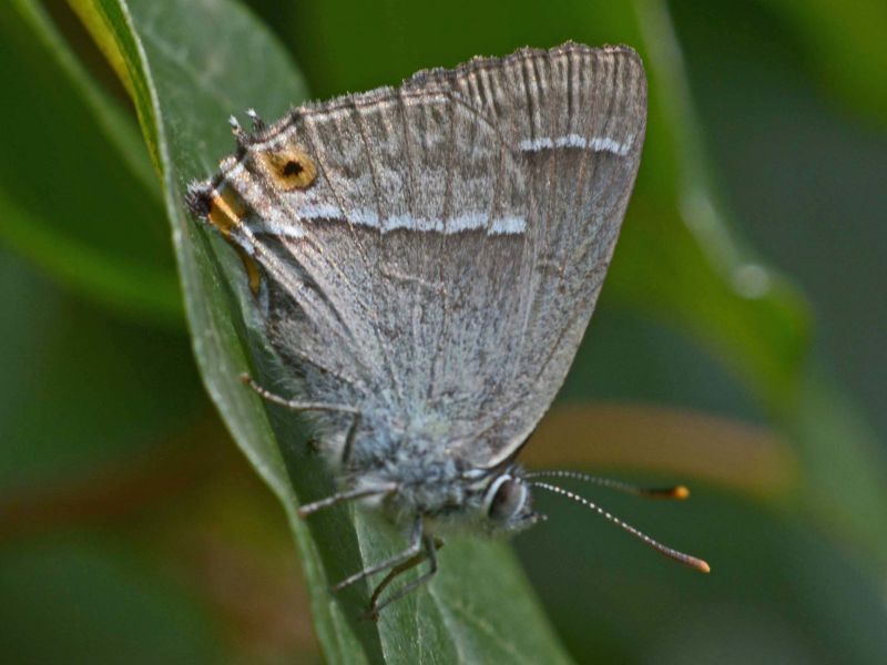 Jofw2desqii4nqpopqfe