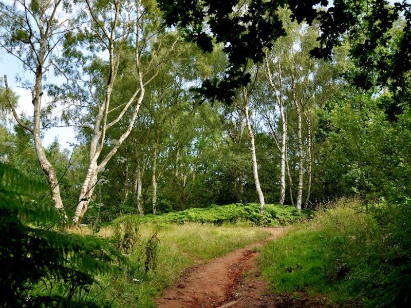 Lhdecxbhpy4zzm7l6war