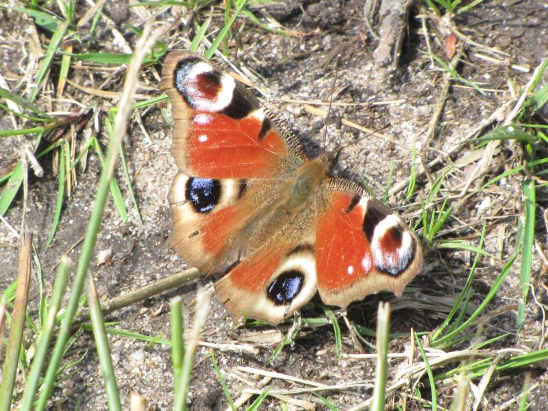 Mso4rdbhqtna8cayvqru